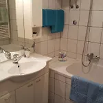 Dora 스플리트